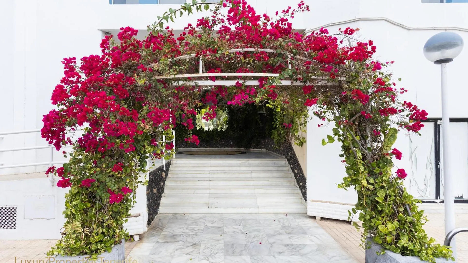 Estudio Caridad سان ميغيل ذي أبونا